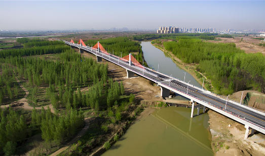 陕西省高陵县泾河入渭口特大桥工程